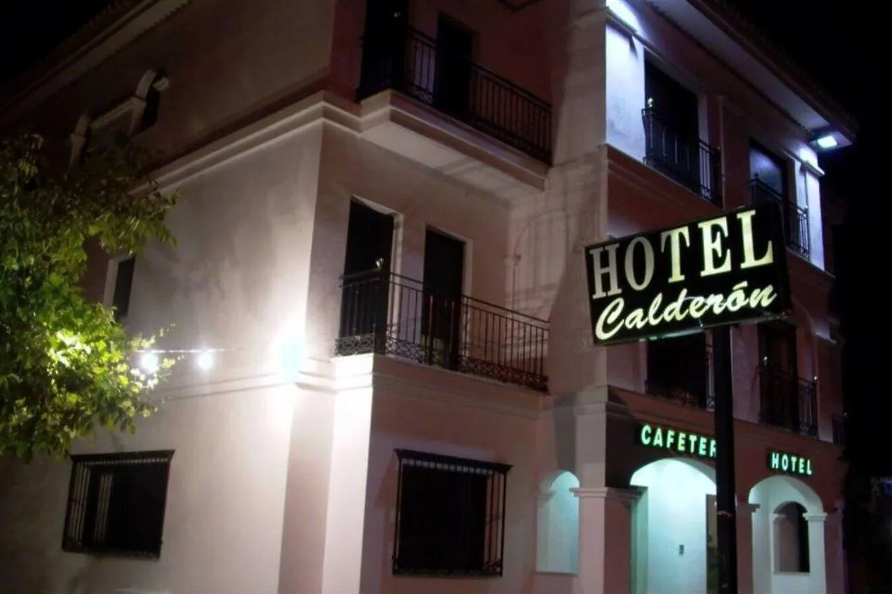Hotel Calderon Cenes De La Vega 3*,  Spain