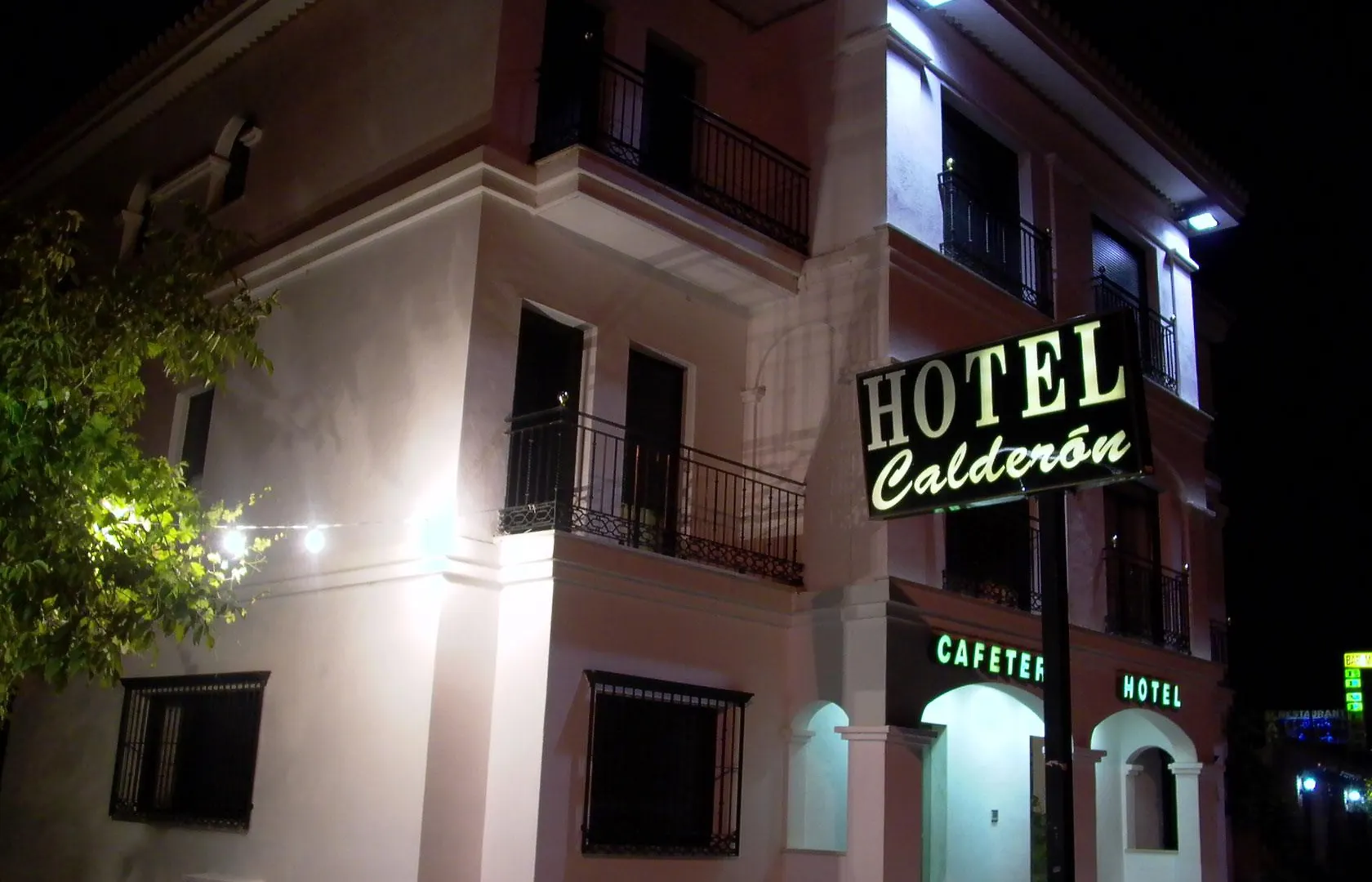 Hotel Calderon Cenes De La Vega